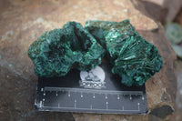 Natural Chatoyant Silky Malachite Specimens  x 12 From Kasompe, Congo - Toprock Gemstones and Minerals 