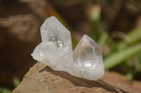 Natural Single Clear Quartz Crystals  x 70 From Zambia - TopRock