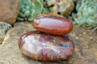 Polished Petrified Red Podocarpus Wood Hearts  x 2 From Mahajanga, Madagascar - TopRock