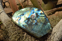 Polished Labradorite Standing Free Forms With Intense Blue Flash x 2 From Sakoany, Madagascar - TopRock