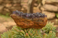 Natural Dark "Amethystos" Amethyst Clusters  x 12 From Kwaggafontein, South Africa - TopRock