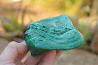 Polished Malachite Free Forms With Stunning Flower & Banding Patterns x 6 From Congo - TopRock