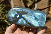 Polished Labradorite Standing Free Forms With Intense Blue Flash x 2 From Sakoany, Madagascar - TopRock