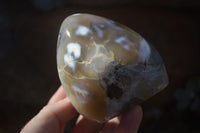 Polished Mixed Agate Standing Free Forms  x 4 From Madagascar