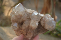 Natural Cascading Smokey Quartz Clusters x 2 From Luena, Congo