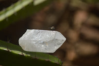 Natural Single Clear Quartz Crystals  x 70 From Zambia - TopRock