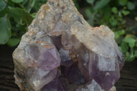 Natural Jacaranda Amethyst Cluster x 1 From Mumbwa, Zambia - TopRock