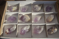 Natural Jacaranda Amethyst Crystals x 12 From Mumbwa, Zambia