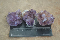 Natural Spirit Amethyst Quartz Crystals  x 24 From Boekenhouthoek, South Africa - Toprock Gemstones and Minerals 