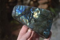 Polished Flashy Labradorite Standing Free Forms  x 3 From Tulear, Madagascar - TopRock