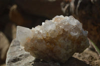 Natural Mixed Spirit Quartz Specimens x 5 From Boekenhouthoek, South Africa