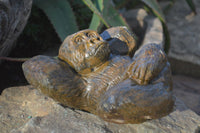 Polished  Black Soapstone Gorilla Carving  x 1 From Zimbabwe