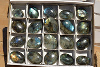 Polished Flashy Labradorite Palm Stones  x 20 From Tulear, Madagascar - TopRock