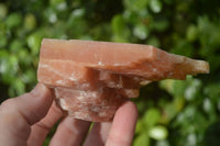 Natural New Sunset Orange Calcite Specimens  x 12 From Spitzkop, Namibia