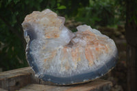 Polished Large Half Moon Agate Crystal Specimen  x 1 From Maintirano, Madagascar - Toprock Gemstones and Minerals 