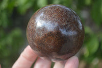 Polished Red Pyrope Garnet Spheres  x 2 From Madagascar - Toprock Gemstones and Minerals 