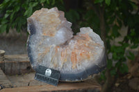 Polished Large Half Moon Agate Crystal Specimen  x 1 From Maintirano, Madagascar - Toprock Gemstones and Minerals 