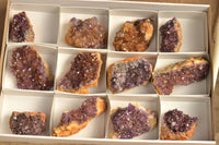 Natural Dark "Amethystos" Amethyst Clusters  x 12 From Kwaggafontein, South Africa - TopRock