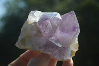 Natural Jacaranda Amethyst Clusters  x 3 From Mumbwa, Zambia - Toprock Gemstones and Minerals 