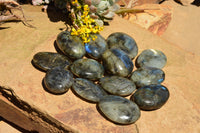 Polished Flashy Labradorite Palm Stones  x 20 From Tulear, Madagascar - TopRock