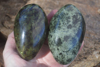 Polished Spotted Leopard Stone Free Forms  x 4 From Zimbabwe - Toprock Gemstones and Minerals 