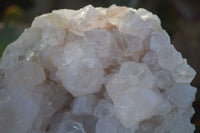 Natural White Spirit Cactus Quartz Clusters  x 2 From Boekenhouthoek, South Africa - Toprock Gemstones and Minerals 