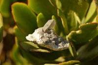 Natural Smokey Quartz With Aegirine & White Orthoclase Crystals  x 13 From Zomba Plateau, Malawi - TopRock