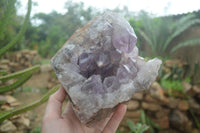 Natural Jacaranda Amethyst Cluster x 1 From Mumbwa, Zambia - TopRock