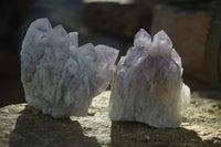 Natural Sugar Amethyst Clusters  x 6 From Solwezi, Zambia