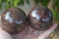 Polished Red Pyrope Garnet Spheres  x 2 From Madagascar - Toprock Gemstones and Minerals 