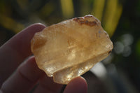 Natural Honey Aragonite Etched & Cobbed Pieces  x 35 From Namibia