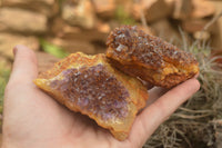 Natural Dark "Amethystos" Amethyst Clusters  x 12 From Kwaggafontein, South Africa - TopRock