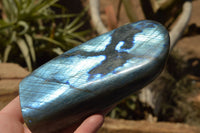 Polished Labradorite Standing Free Forms With Intense Blue Flash x 2 From Sakoany, Madagascar - TopRock