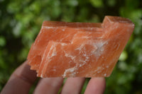 Natural New Sunset Orange Calcite Specimens  x 12 From Spitzkop, Namibia