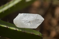 Natural Single Clear Quartz Crystals  x 70 From Zambia - TopRock