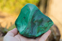 Polished Malachite Free Forms With Stunning Flower & Banding Patterns x 6 From Congo - TopRock