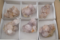 Natural Spirit Amethyst Quartz Clusters  x 6 From Boekenhouthoek, South Africa - Toprock Gemstones and Minerals 