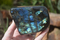 Polished Flashy Labradorite Standing Free Forms  x 3 From Tulear, Madagascar - TopRock