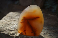 Polished Mixed Agate Standing Free Forms  x 4 From Madagascar