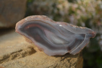 Polished River Agate Nodules  x 6 From Sashe River, Zimbabwe