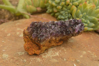 Natural Dark "Amethystos" Amethyst Clusters  x 12 From Kwaggafontein, South Africa - TopRock