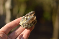 Natural Smokey Quartz With Aegirine & White Orthoclase Crystals  x 13 From Zomba Plateau, Malawi - TopRock