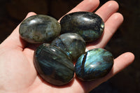 Polished Flashy Labradorite Palm Stones  x 20 From Tulear, Madagascar - TopRock