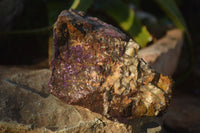 Natural Metallic Purpurite Cobbed Specimens  x 2 From Erongo, Namibia - Toprock Gemstones and Minerals 