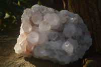 Natural White Spirit Cactus Quartz Clusters  x 2 From Boekenhouthoek, South Africa - Toprock Gemstones and Minerals 