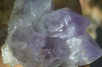 Natural Jacaranda Amethyst Clusters  x 3 From Mumbwa, Zambia - Toprock Gemstones and Minerals 