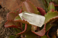 Polished Clear Quartz Crystal Points x 6 From Madagascar - TopRock