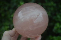 Polished Rare Star Rose Quartz Spheres  x 2 From Ambatondrazaka, Madagascar - Toprock Gemstones and Minerals 