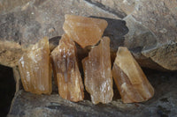 Natural Honey Aragonite Etched & Cobbed Pieces  x 35 From Namibia