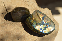 Polished Gorgeous Labradorite Standing Free Forms With Intense Full Face Flash x 6 From Tulear, Madagascar - TopRock